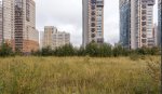 Вид участка