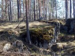Участок земли в Приозерском районе, Мельниковская волость, между поселками Хвойное и Горы, 30 соток