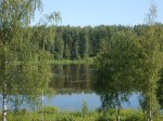 Участок в Сосново «Зелёная горка»