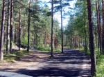 Участок ИЖС вблизи поселка Лосево, недалеко от базы отдыха «Добрый лось»