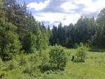 Вид участков