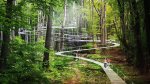 Разрешения и запреты на строительство частных жилых домов и капитальных объектов в границах ООПТ